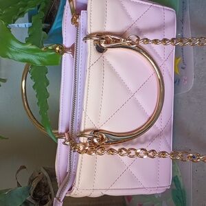 Ombre Pink and Gold Aldo purse
